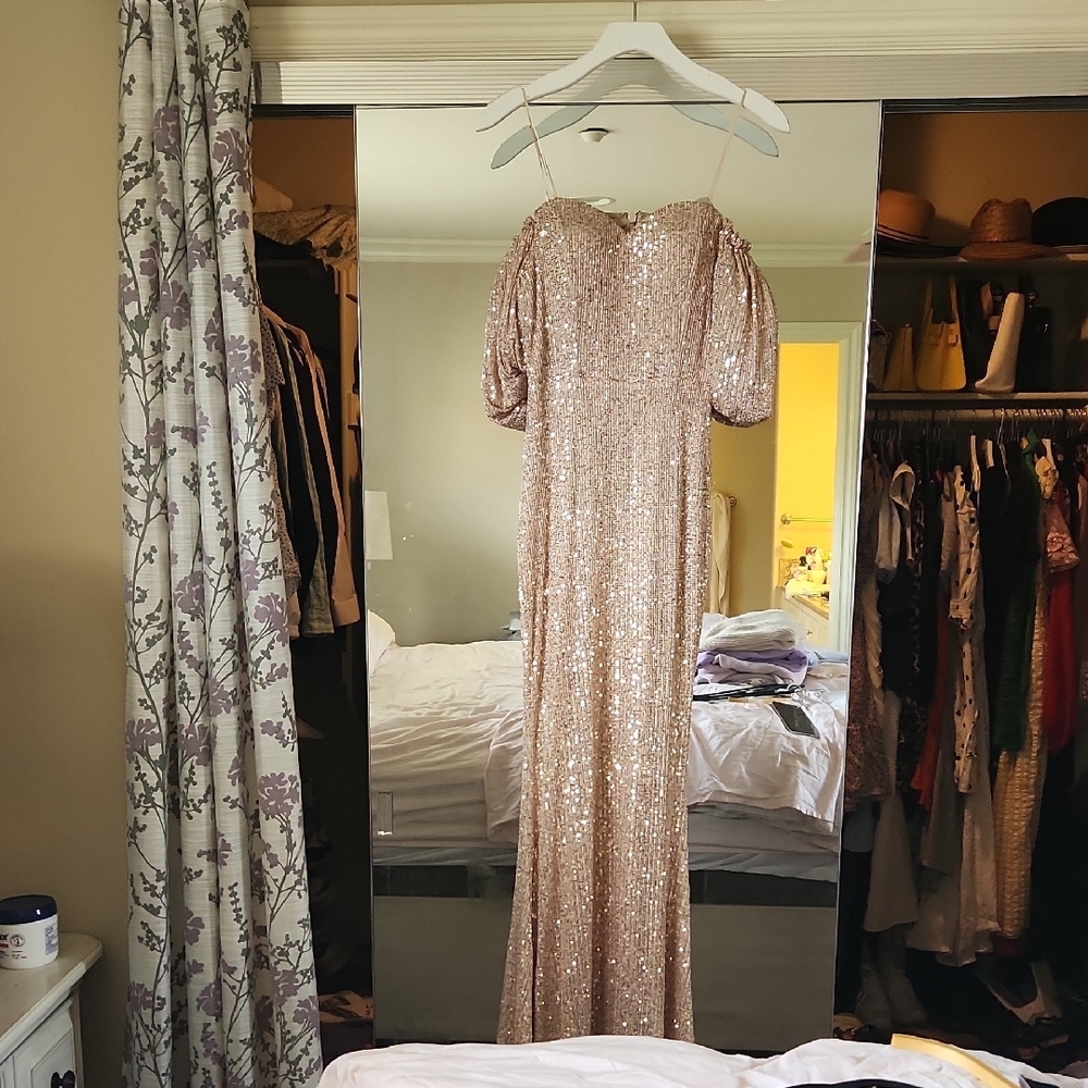 Fashion Nova Elegant Sequin Gown